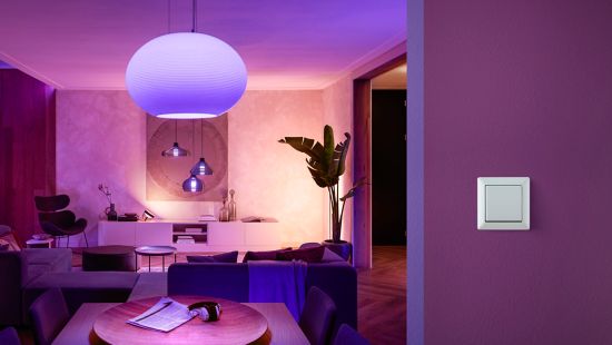 Hue Wall switch module | Philips Hue UK